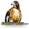 Forest Band