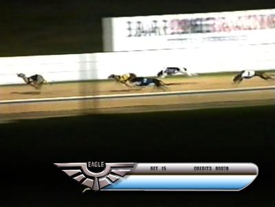 dog_racing.png.jpg