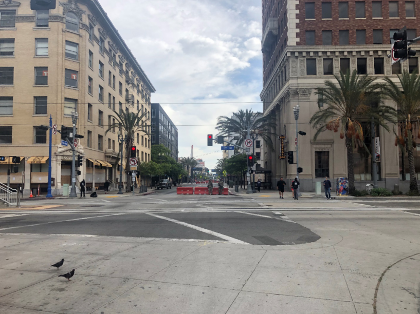 Океан и сосна