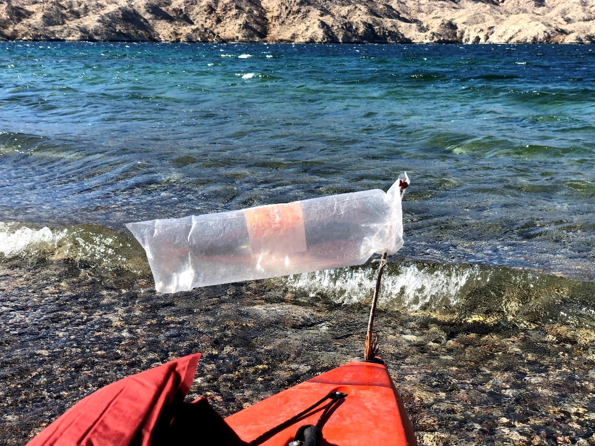 Ветроуказатель