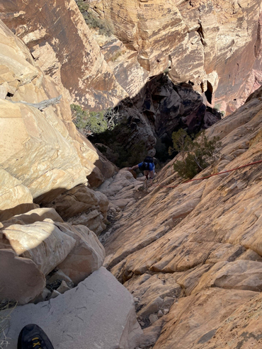 Кроличья нора