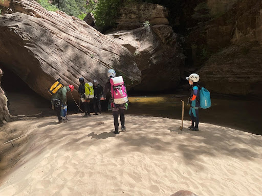 Изображение 8