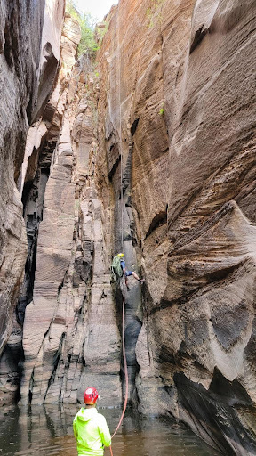 Изображение 7