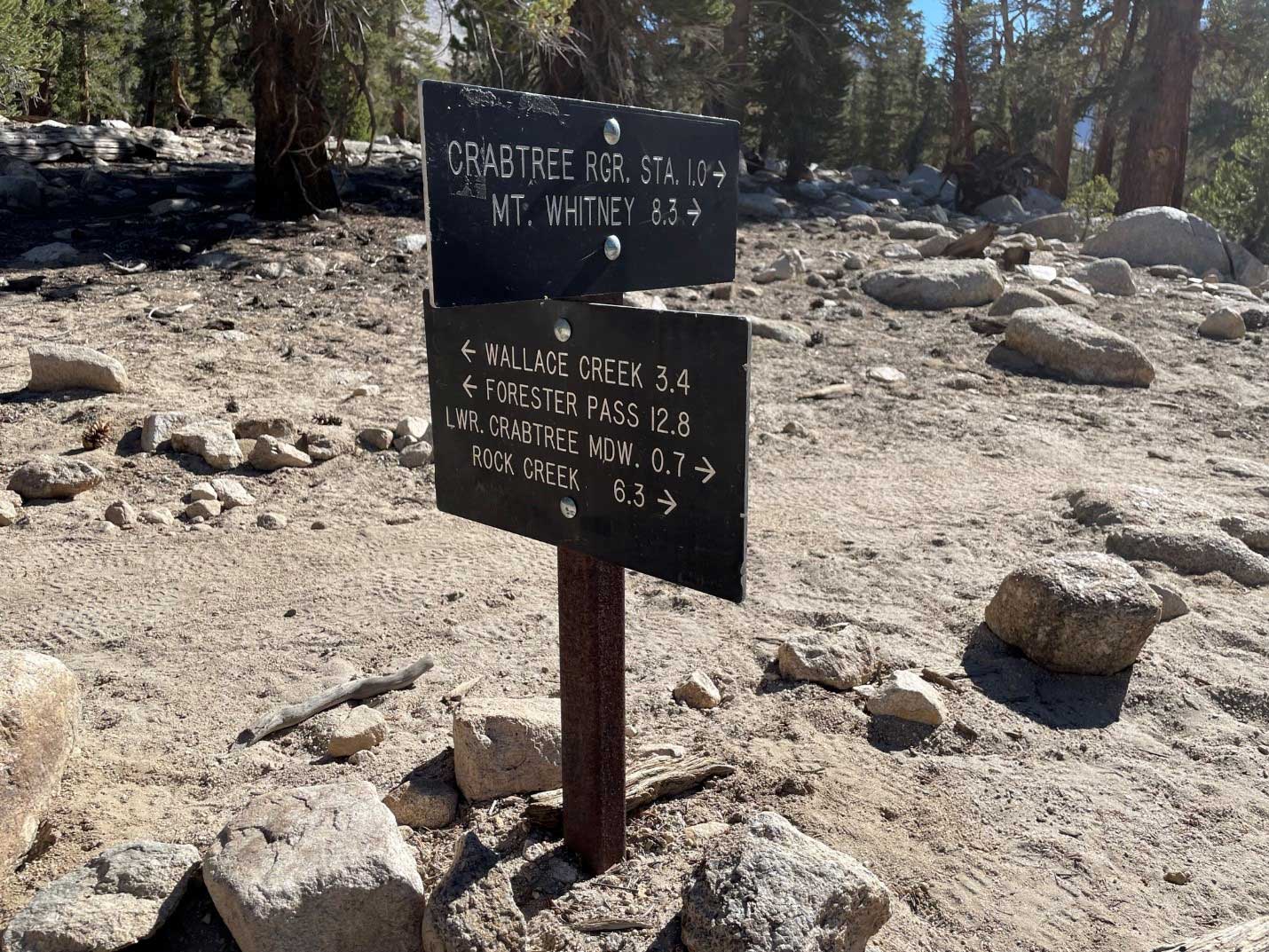 крабовое дерево