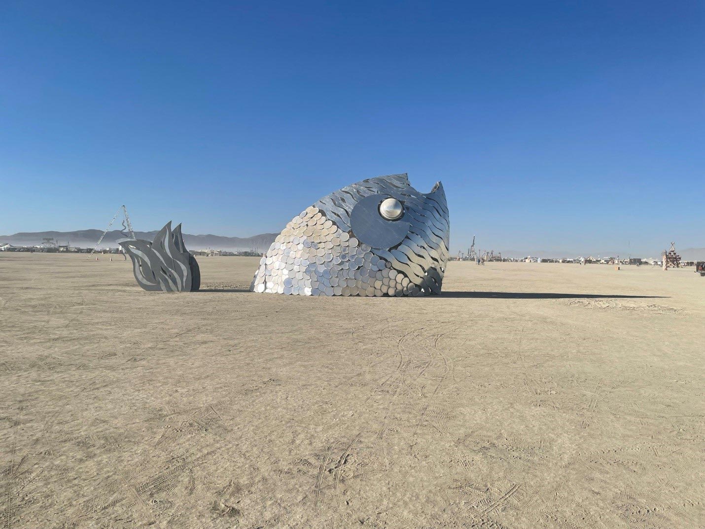 ещё одно повсеместно встречающееся плавающее существо