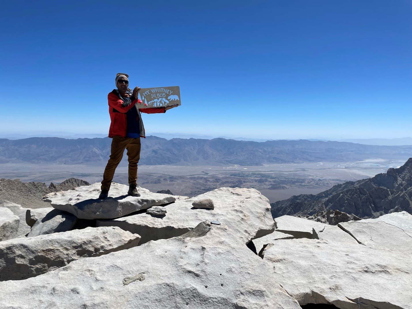 одинокая сосна