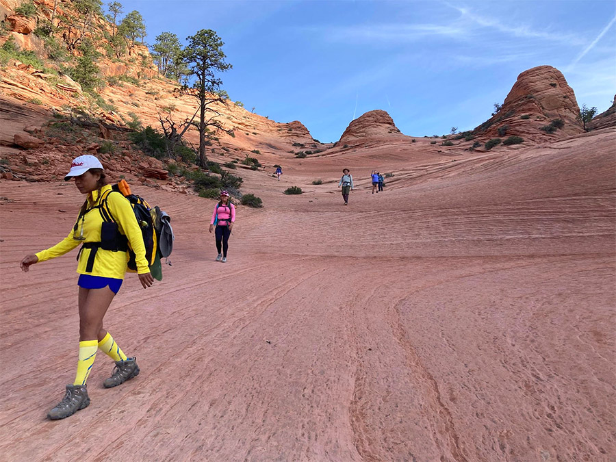 Волна Аризона