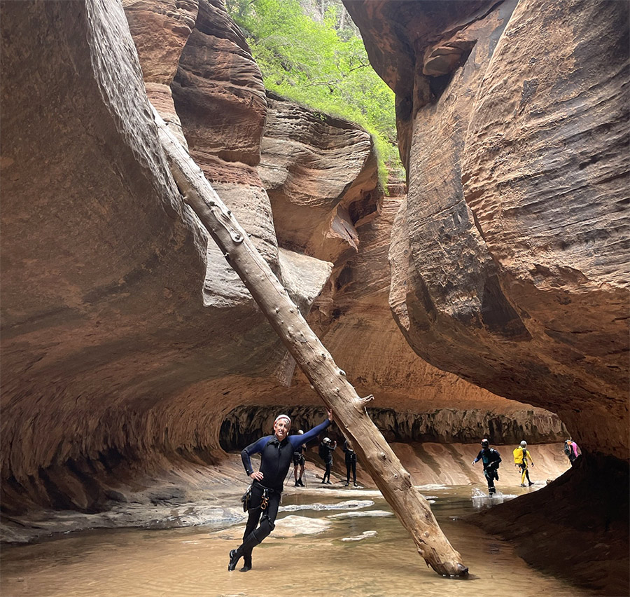 Упавшее бревно